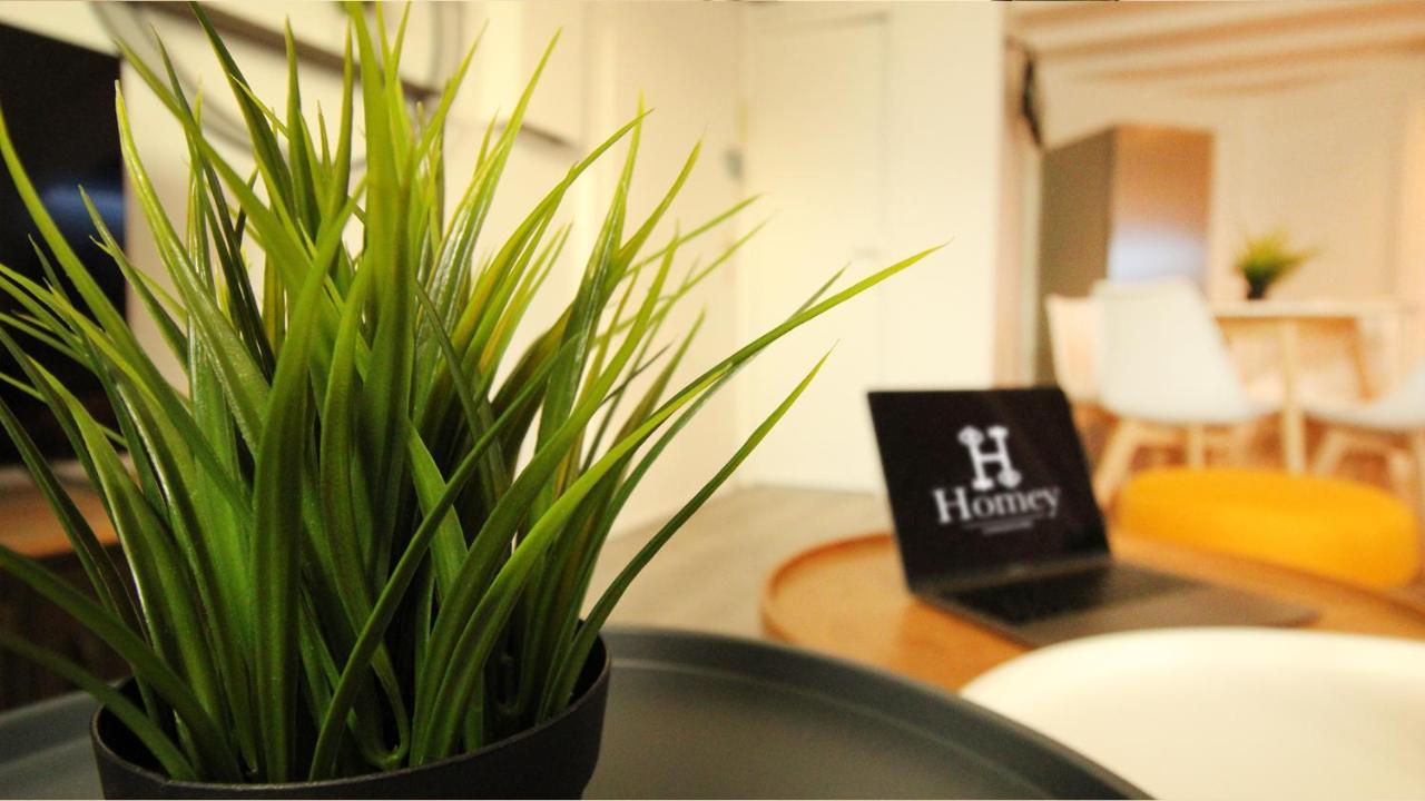 Homey Bella - New / Duplex / Downtown / Close Geneva Annemasse Buitenkant foto